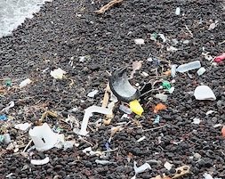 Waste of many types strewn across black sand beach.
